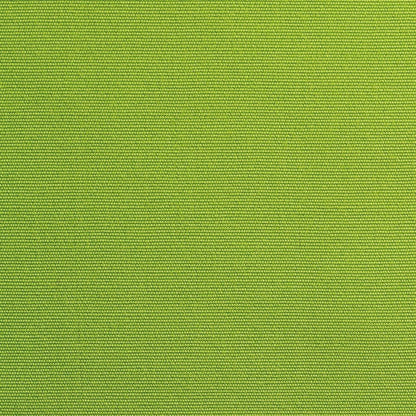 Apfel Nr. 15