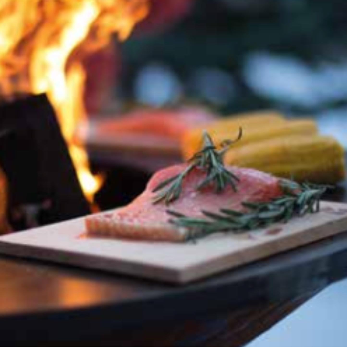 OFYR Cedar Wood Planks PRO – aromatische Zedernholzbretter für sanftes, rauchiges Garen