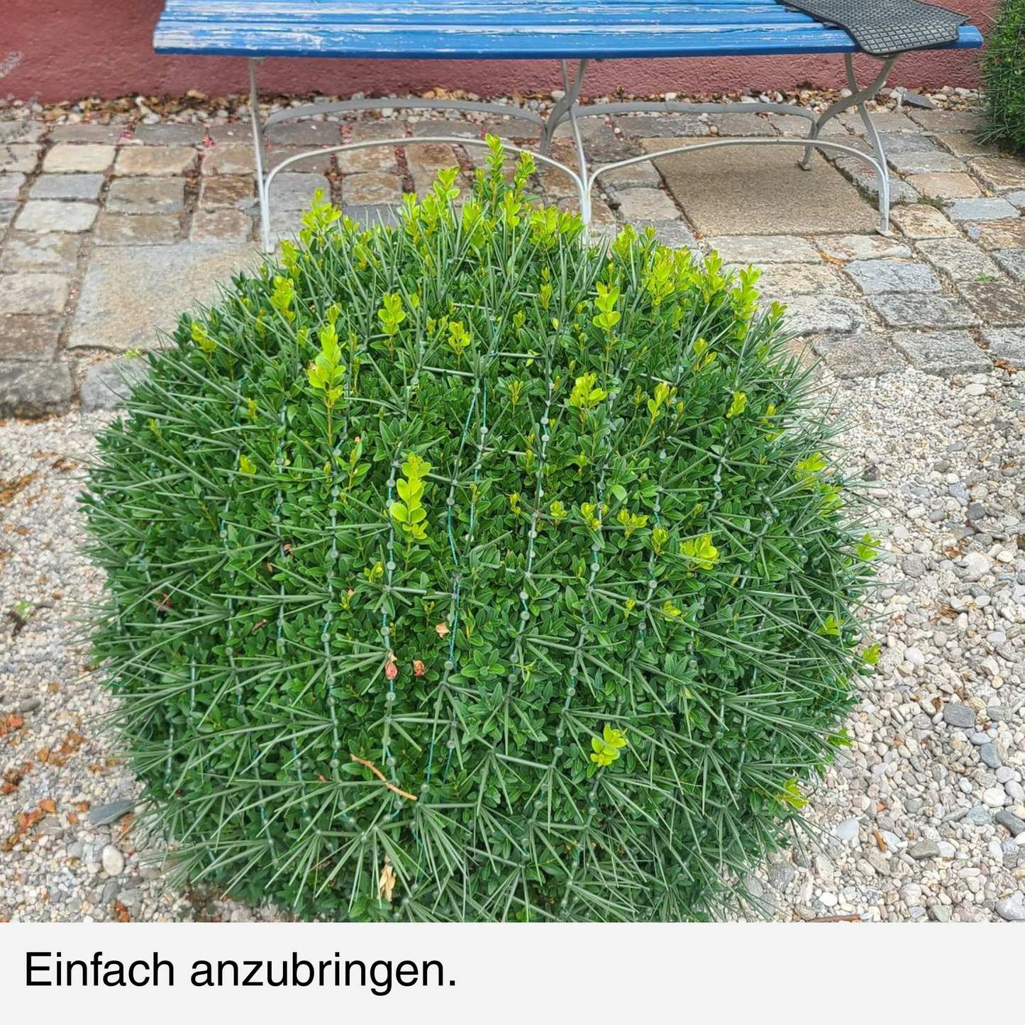 BUXIT®  Schutznetz Buchsbaum