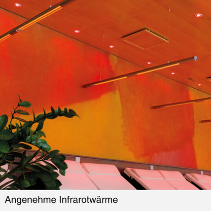 Heizstrahler HeatTube Carbon