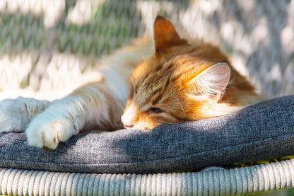 Wing light Relax Sessel im Garten