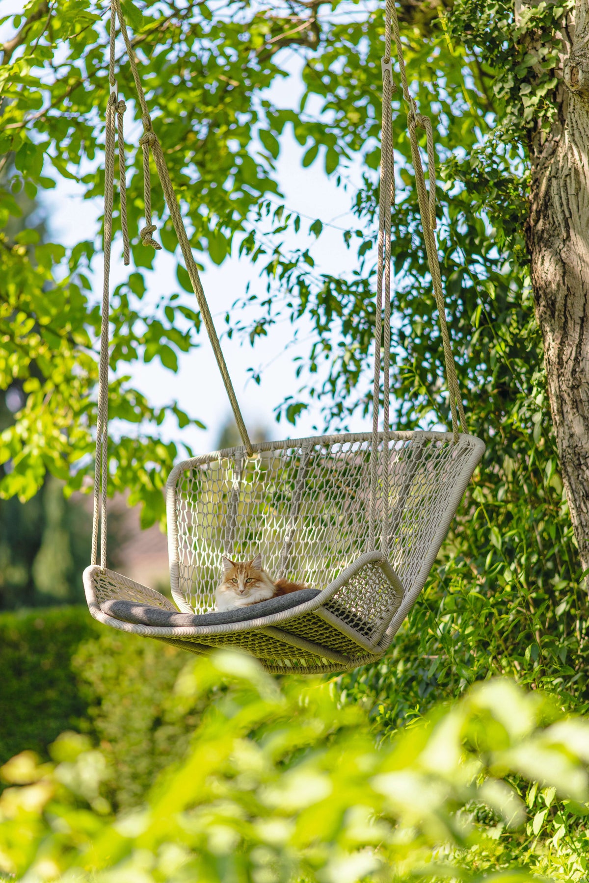 Wing light Relax Hängesessel im Garten
