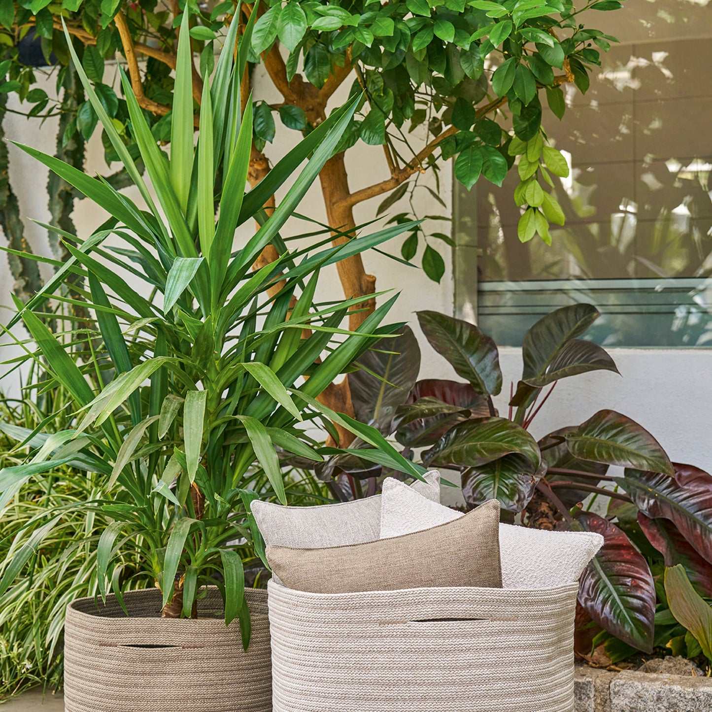 Weishäupl Korb groß Sand und medium Taupe mit Pflanzen auf der Terrasse