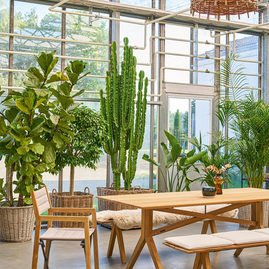 Loft Bank