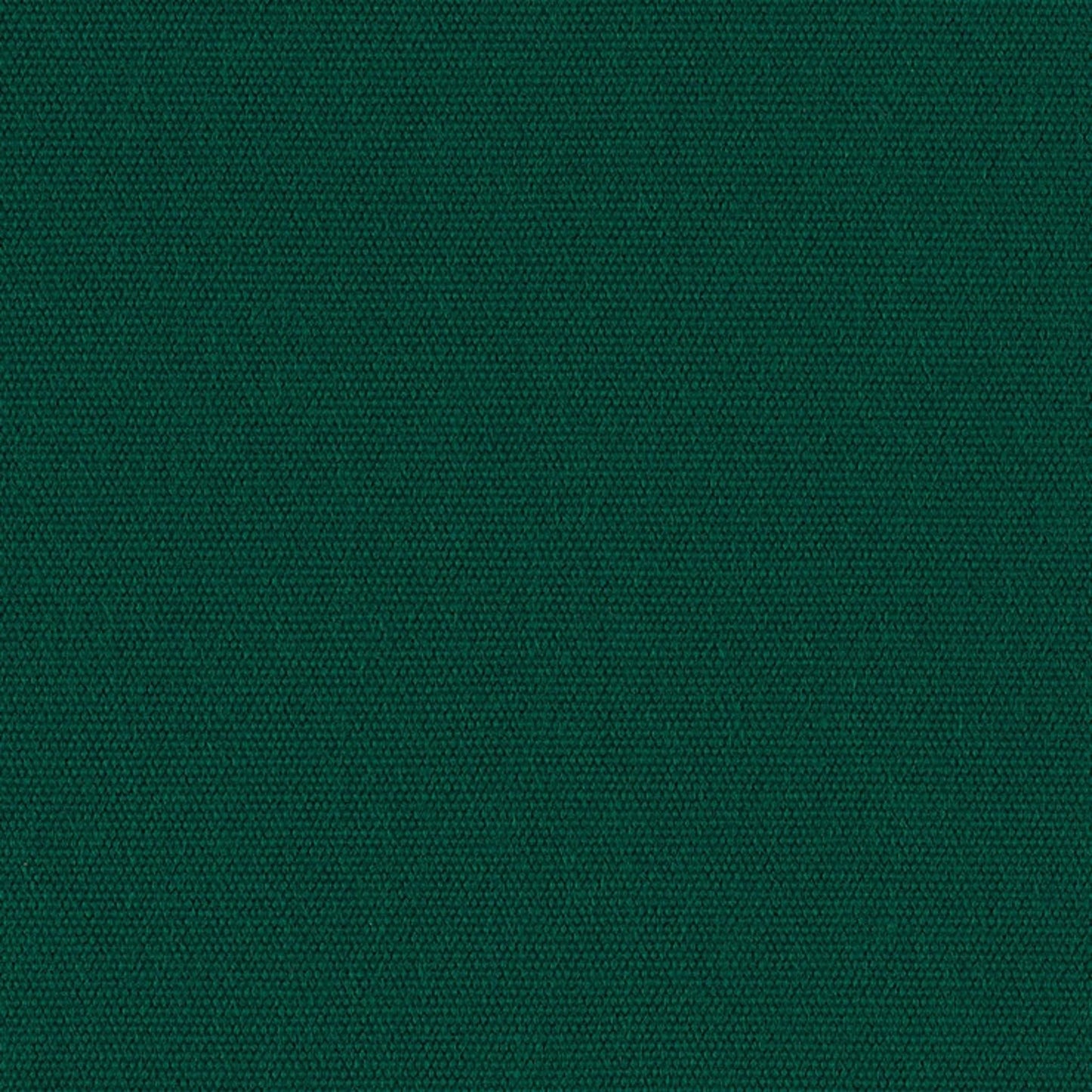 Tanne Nr. 05