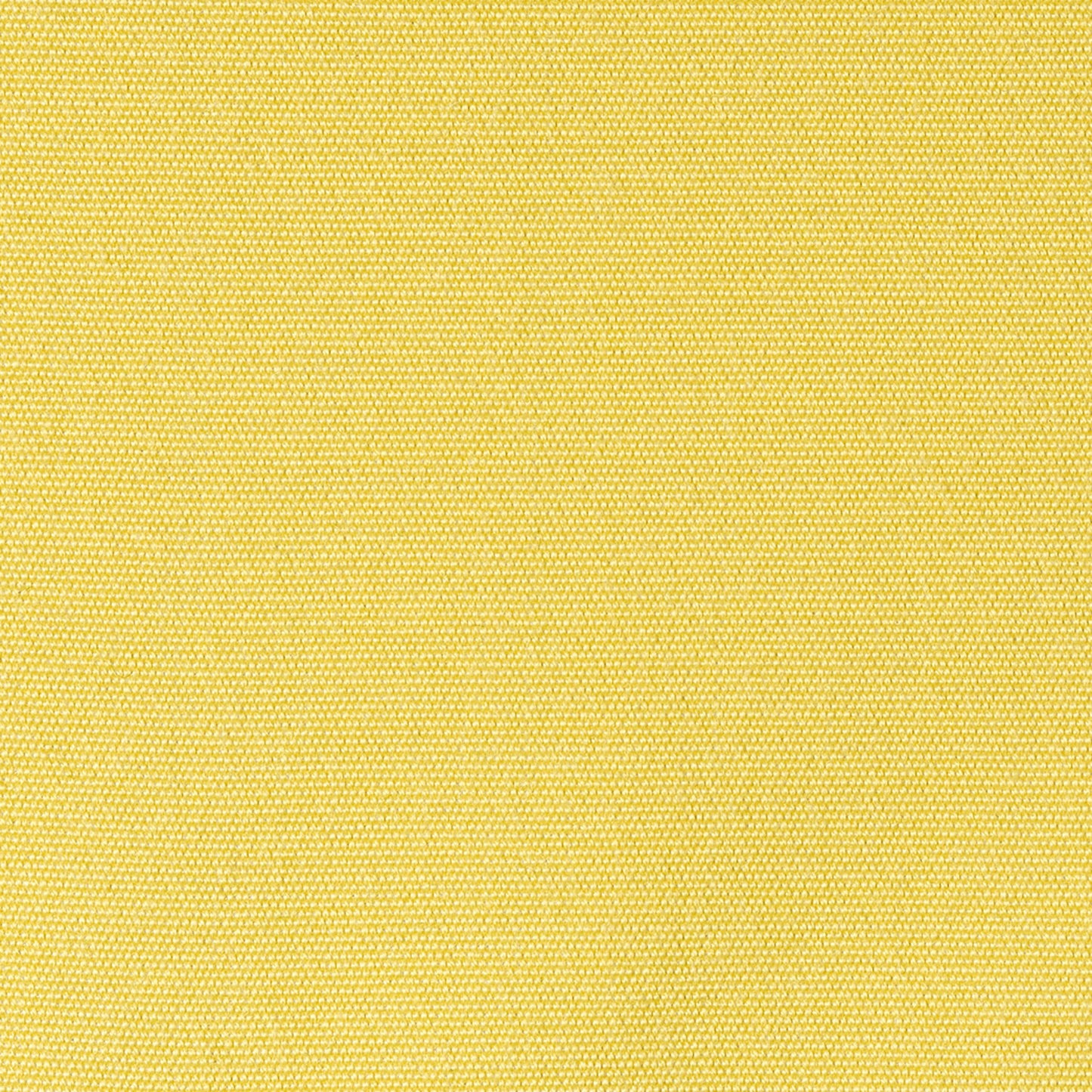 Limone Nr. 48