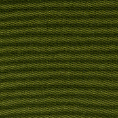Olive Nr. 50