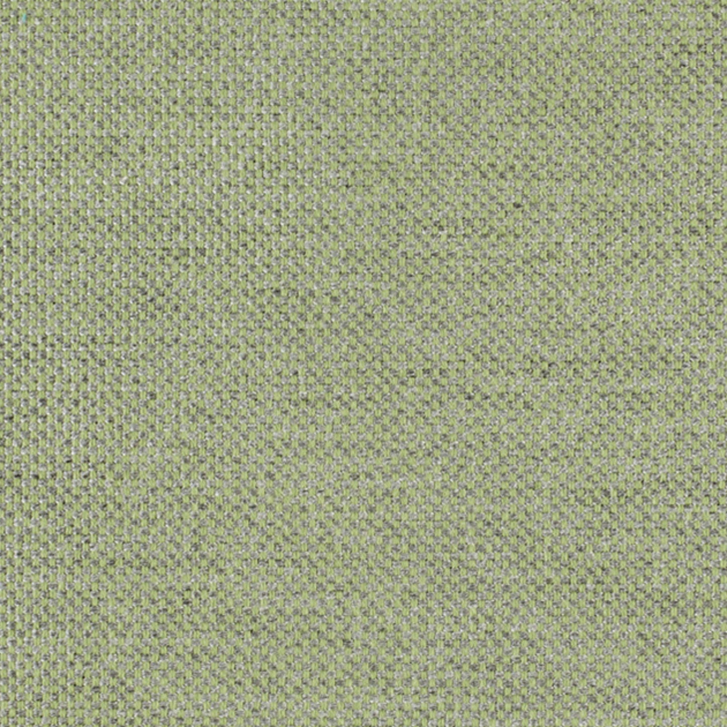 Panama Menta
