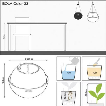 BOLA Color 23